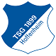 1899 Hoffenheim Logo